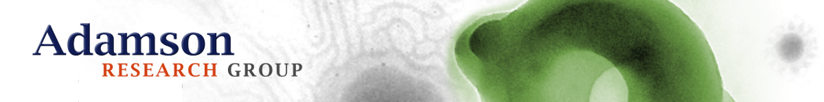 Title Adamson Research Group Logo