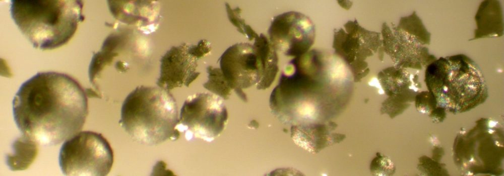 Optical micrograph of graphene-polystyrene microspheres.