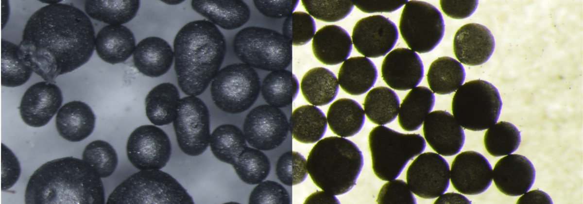 Spheres